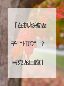 在机场被妻子“打脸”？马克龙回应