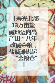 寿光北部13万亩盐碱地迈向高产田：八年改碱夺粮，盐碱滩拱起“金粮仓”