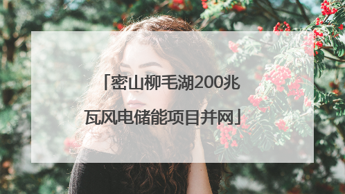 密山柳毛湖200兆瓦风电储能项目并网