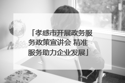孝感市开展政务服务政策宣讲会 精准服务助力企业发展