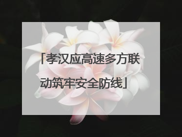 孝汉应高速多方联动筑牢安全防线