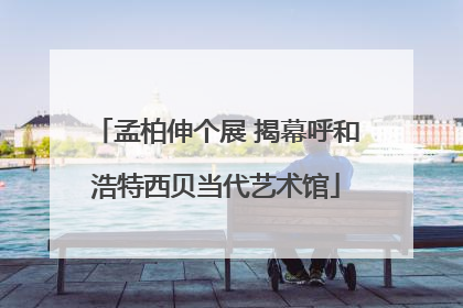 孟柏伸个展 揭幕呼和浩特西贝当代艺术馆