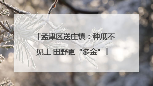 孟津区送庄镇：种瓜不见土 田野更“多金”