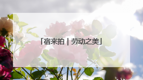 宿来拍｜劳动之美