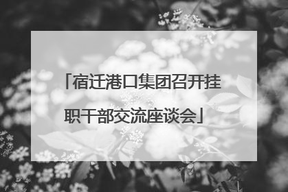 宿迁港口集团召开挂职干部交流座谈会