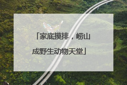 家底摸排，崂山成野生动物天堂