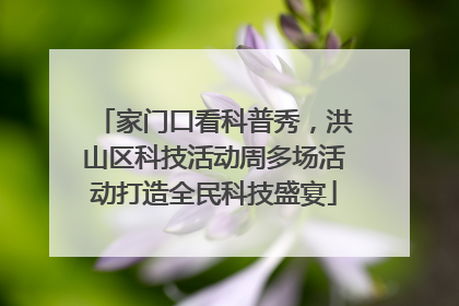 家门口看科普秀，洪山区科技活动周多场活动打造全民科技盛宴