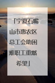 宁夏石嘴山市惠农区总工会助困难职工重燃希望