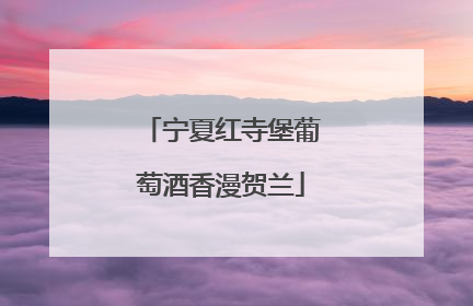 宁夏红寺堡葡萄酒香漫贺兰