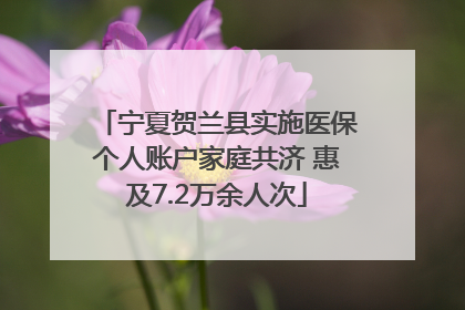 宁夏贺兰县实施医保个人账户家庭共济 惠及7.2万余人次