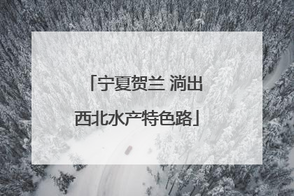 宁夏贺兰 淌出西北水产特色路