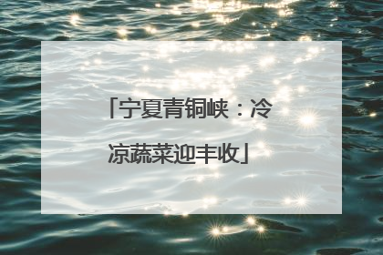 宁夏青铜峡：冷凉蔬菜迎丰收