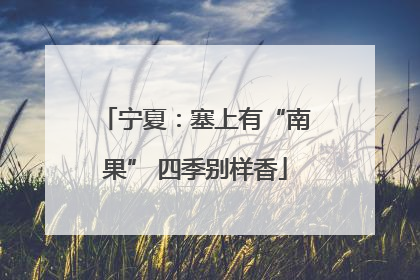宁夏：塞上有“南果” 四季别样香