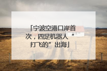 宁波空港口岸首次，四足机器人“打飞的”出海