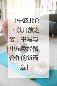 宁波北仑：以开放之姿，书写与中东欧经贸合作的新篇章