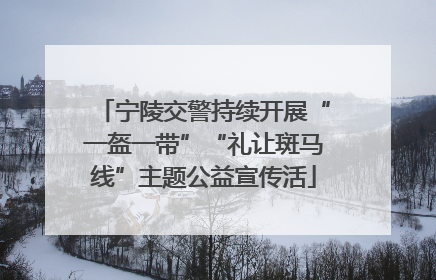 宁陵交警持续开展“一盔一带”“礼让斑马线”主题公益宣传活