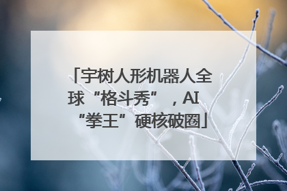 宇树人形机器人全球“格斗秀”，AI“拳王”硬核破圈