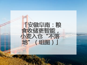 安徽阜南：粮食收储更智能，小麦入仓“不落地”（组图）