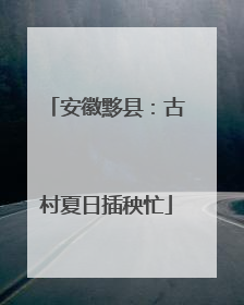 安徽黟县：古村夏日插秧忙