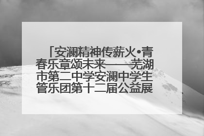 安澜精神传薪火•青春乐章颂未来——芜湖市第二中学安澜中学生管乐团第十二届公益展演圆满举行