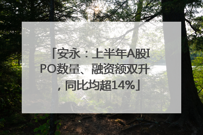 安永：上半年A股IPO数量、融资额双升，同比均超14%