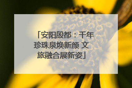 安阳殷都：千年珍珠泉焕新颜 文旅融合展新姿