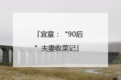 宜章：“90后”夫妻收菜记