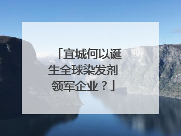 宜城何以诞生全球染发剂领军企业？