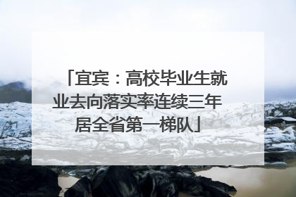 宜宾：高校毕业生就业去向落实率连续三年居全省第一梯队