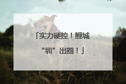 实力硬控！鲤城“圳”出圈！