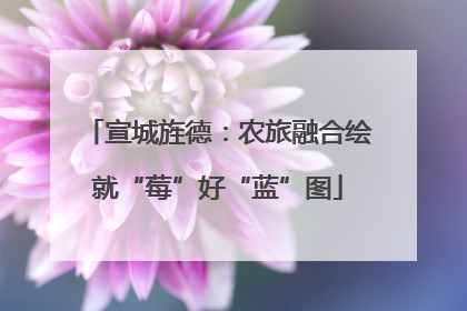 宣城旌德：农旅融合绘就“莓”好“蓝”图