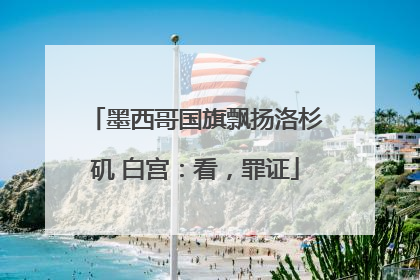 墨西哥国旗飘扬洛杉矶 白宫：看，罪证