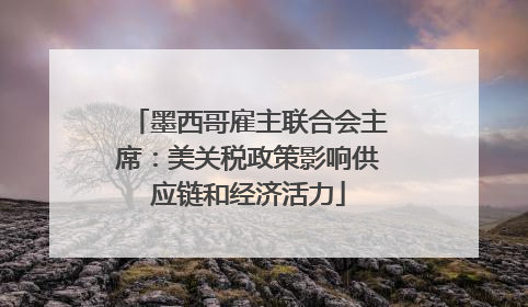 墨西哥雇主联合会主席：美关税政策影响供应链和经济活力