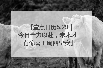 壹点日历5.29｜今日全力以赴，未来才有惊喜！周四早安