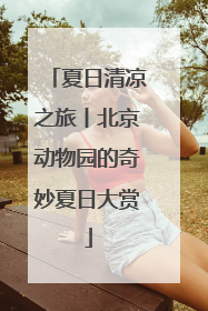 夏日清凉之旅丨北京动物园的奇妙夏日大赏