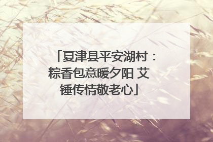夏津县平安湖村：粽香包意暖夕阳 艾锤传情敬老心