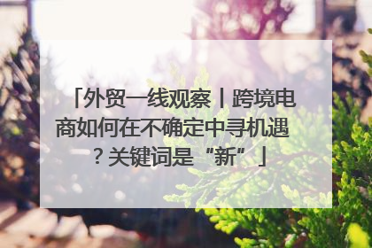 外贸一线观察丨跨境电商如何在不确定中寻机遇？关键词是“新”
