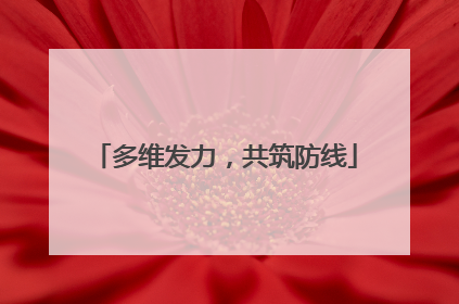 多维发力，共筑防线
