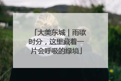 大美东城｜雨歇时分，这里藏着一片会呼吸的绿境