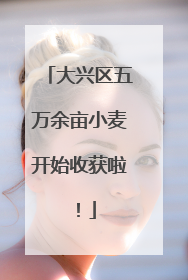 大兴区五万余亩小麦开始收获啦！