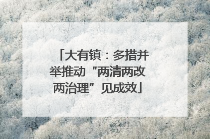 大有镇：多措并举推动“两清两改两治理”见成效