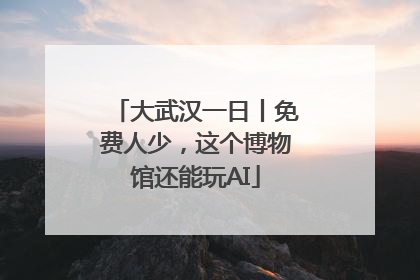 大武汉一日丨免费人少，这个博物馆还能玩AI