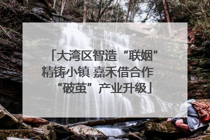 大湾区智造“联姻”精铸小镇 嘉禾借合作“破茧”产业升级