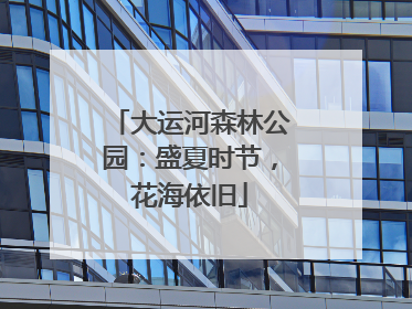 大运河森林公园：盛夏时节，花海依旧