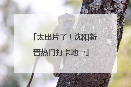 太出片了！沈阳新晋热门打卡地→