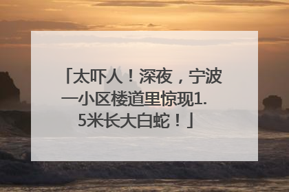 太吓人！深夜，宁波一小区楼道里惊现1.5米长大白蛇！