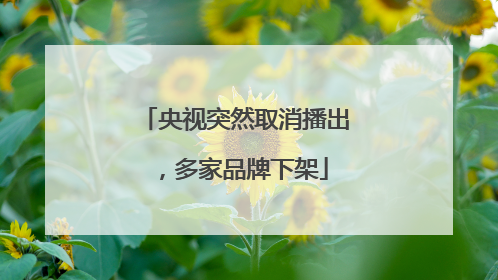 央视突然取消播出，多家品牌下架