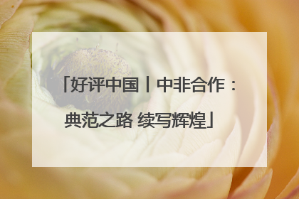 好评中国丨中非合作：典范之路 续写辉煌