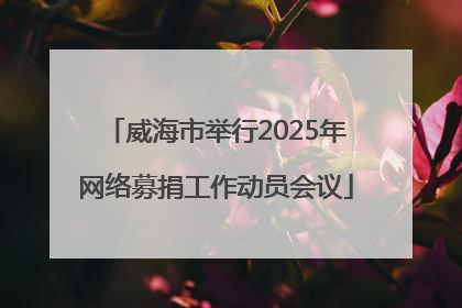威海市举行2025年网络募捐工作动员会议