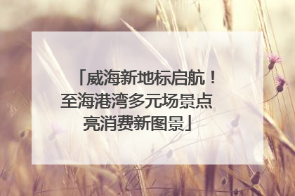 威海新地标启航！至海港湾多元场景点亮消费新图景
